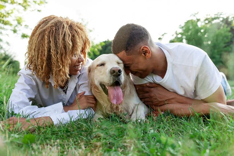A couple lies on the grass, smiling and leaning toward a happy golden retriever between them. The dog has its tongue out, and they all appear relaxed and joyful in a sunny Suffolk County NY setting, grateful for effective tick control to keep their outdoor moments carefree.